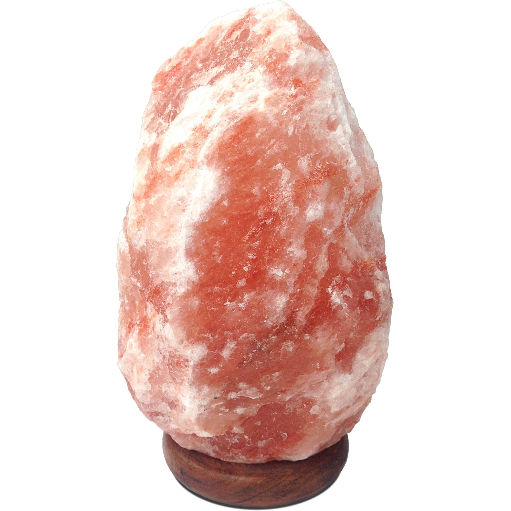 Black Tai Himalayan Salt Lamp — 572 lb Limited Edition Statement Piece