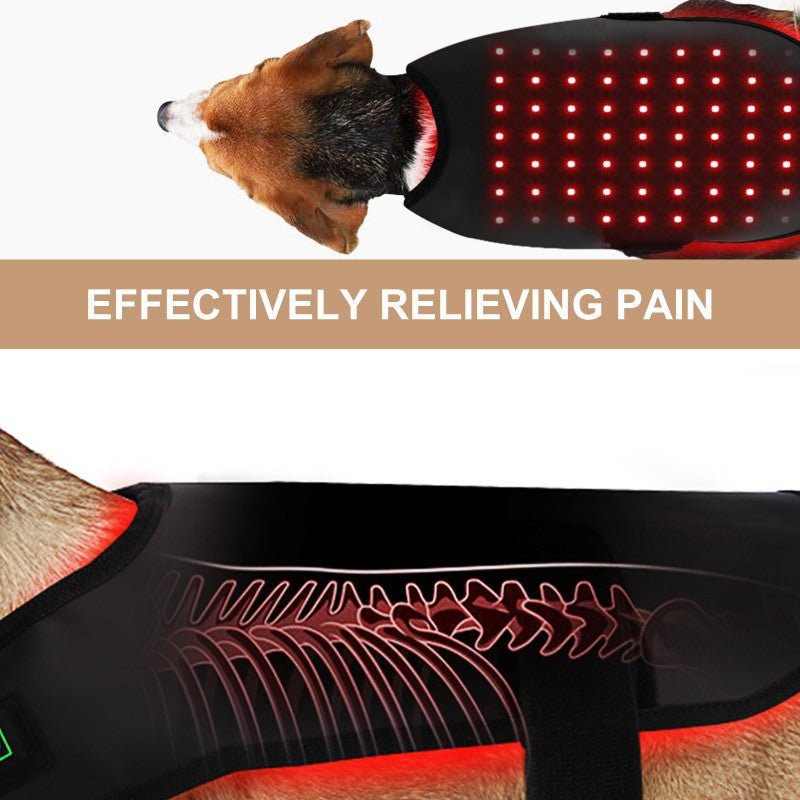 Pet Zen Red and Infrared Light Device
