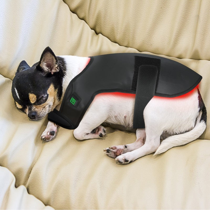 Pet Zen Red and Infrared Light Device