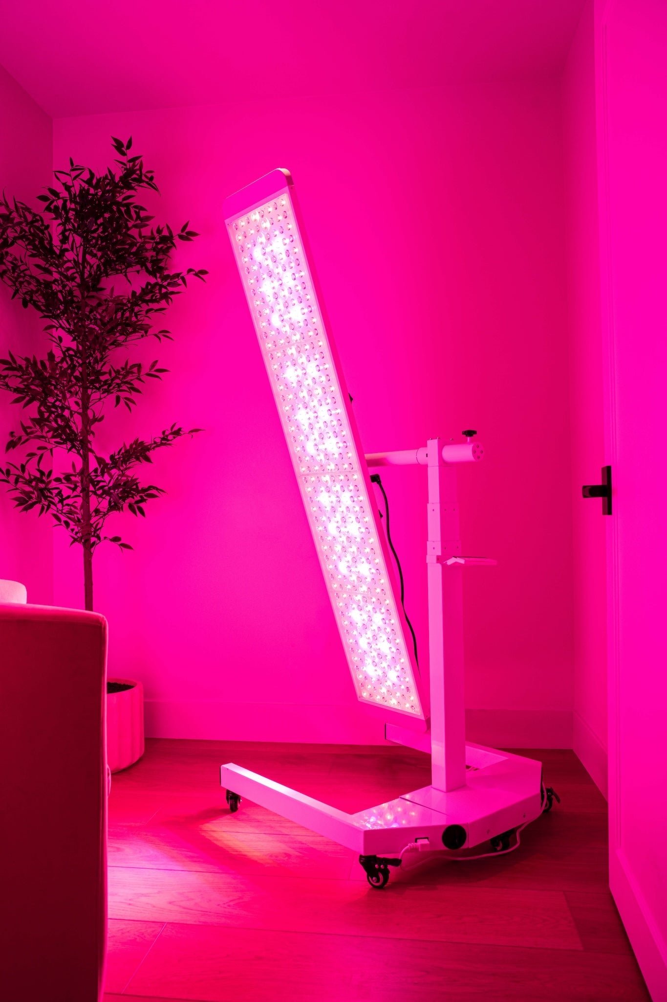 Total Spectrum MAX — Full-Body Red & Infrared Therapy Panel